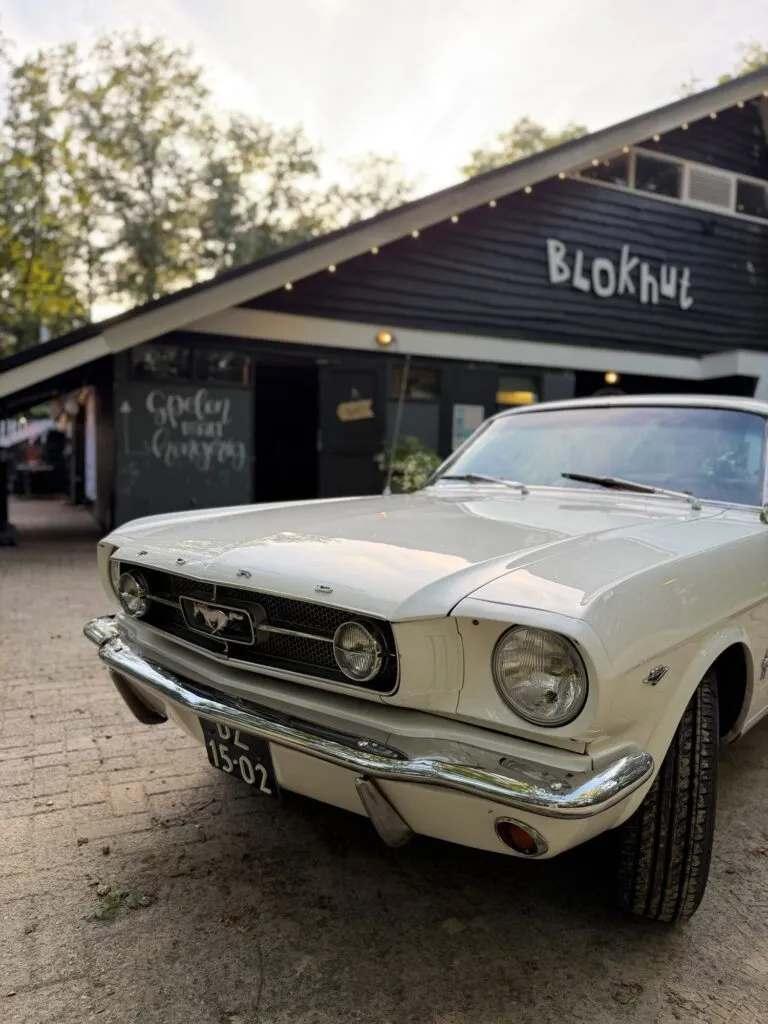 Witte klassieke trouwauto voor de blokhut